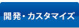 開発・カスタマイズ