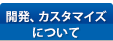 開発、カスタマイズについて